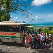 tropical journeys daintree