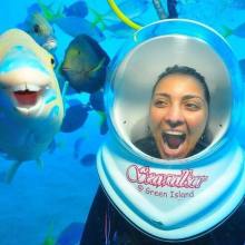 Cairns Reef Activity Guide