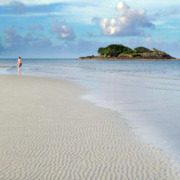 tropical journeys daintree