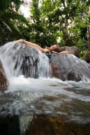 Daintree Rainforest Swiming