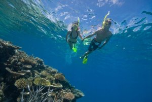 Great Barrier Reef 