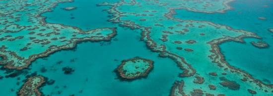 Visiting The Great Barrier Reef 