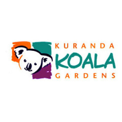 Kuranda Koala Gardens Kuranda Train Skyrail