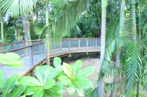 Wildlife Habitat Port Douglas