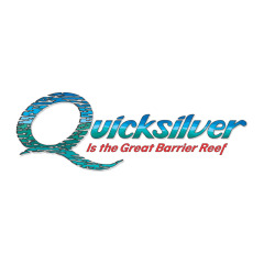 Quicksilver Group Logo