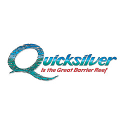 Quicksilver Group logo