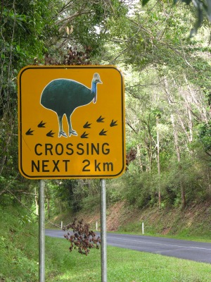 Cassoawry Coast Road Sign
