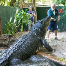 Green Island Cairns - Resort, Tours & Things To Do