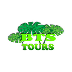 BTS Port Douglas Bus Logo