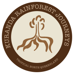 Kuranda Rainforest Journeys Logo