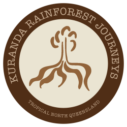 Kuranda Rainforest Journeys logo