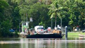 Daintree River Ferry Price